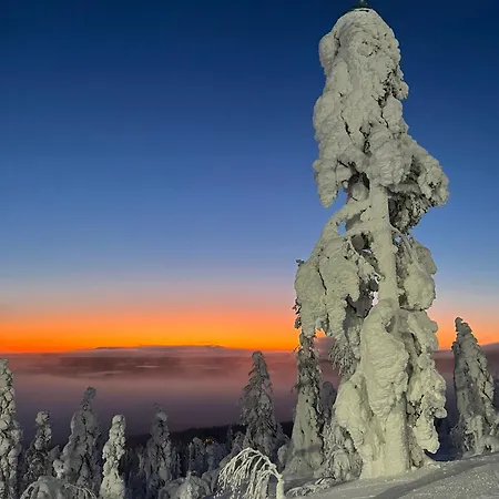 Aurora B4 Ski-in Ski-out, Mountain View By Aavalevi Levi