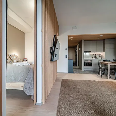 Aurora B4 Ski-in Ski-out, Mountain View By Aavalevi Levi