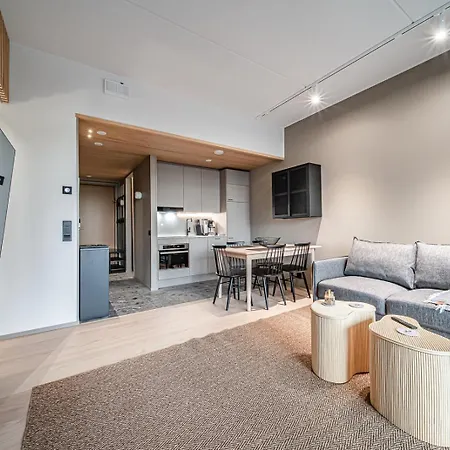 Aurora B4 Ski-in Ski-out, Mountain View By Aavalevi * Levi