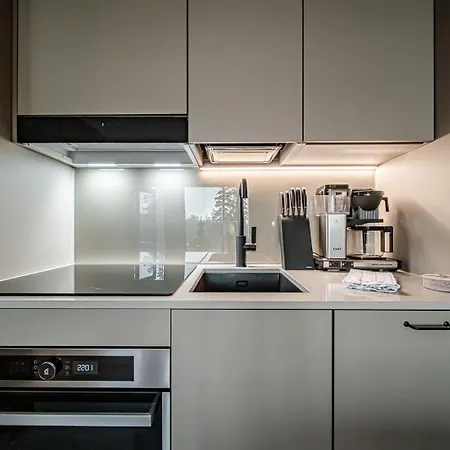 Aurora B4 Ski-in Ski-out, Mountain View By Aavalevi Lejlighed